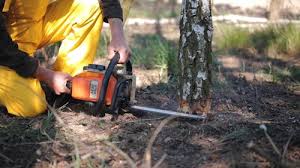 Lawn Irrigation Installation and Maintenance in Saltville, VA