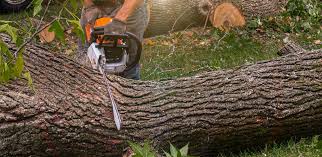 Best Aeration Services  in Saltville, VA