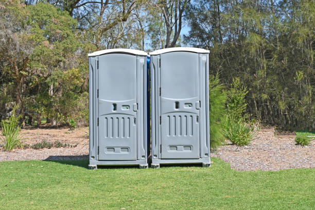Best Lawn Fertilization  in Saltville, VA